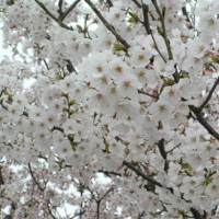 �����������������C���[�W