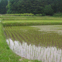 �����������������C���[�W